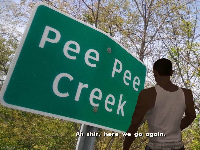 CJ goes to Pee Pee creek | image tagged in cj,ohio | made w/ Imgflip meme maker