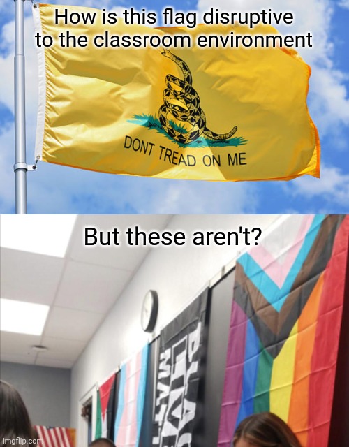 12 year old kid kicked out of class for wearing a Gadsden flag badge on his backpack. | How is this flag disruptive to the classroom environment; But these aren't? | image tagged in memes | made w/ Imgflip meme maker