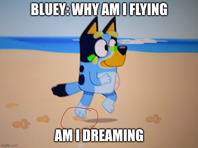 bluey flys | BLUEY: WHY AM I FLYING; AM I DREAMING | image tagged in bluey flys,bluey | made w/ Imgflip meme maker