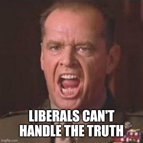 You can't handle the truth | LIBERALS CAN'T HANDLE THE TRUTH | image tagged in you can't handle the truth | made w/ Imgflip meme maker