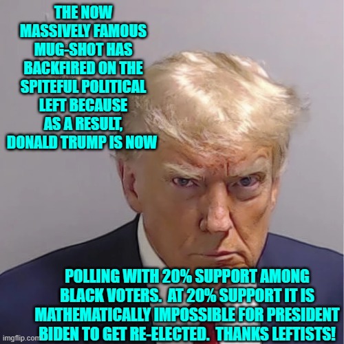 It's not going to work out like the Political Left wants. | THE NOW MASSIVELY FAMOUS MUG-SHOT HAS BACKFIRED ON THE SPITEFUL POLITICAL LEFT BECAUSE AS A RESULT, DONALD TRUMP IS NOW; POLLING WITH 20% SUPPORT AMONG BLACK VOTERS.  AT 20% SUPPORT IT IS MATHEMATICALLY IMPOSSIBLE FOR PRESIDENT BIDEN TO GET RE-ELECTED.  THANKS LEFTISTS! | image tagged in yep | made w/ Imgflip meme maker