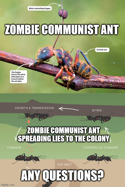 ZOMBIE COMMUNIST ANT; ZOMBIE COMMUNIST ANT SPREADING LIES TO THE COLONY; ANY QUESTIONS? | image tagged in zombie ant | made w/ Imgflip meme maker