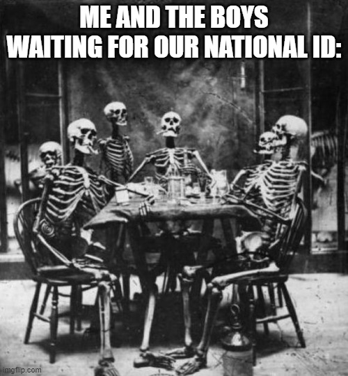 Skeletons  | ME AND THE BOYS WAITING FOR OUR NATIONAL ID: | image tagged in skeletons | made w/ Imgflip meme maker