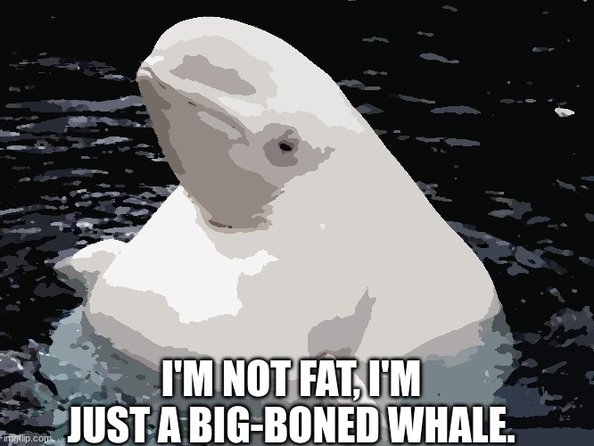 big boned whale | I'M NOT FAT, I'M JUST A BIG-BONED WHALE. | image tagged in fat whale,big brain | made w/ Imgflip meme maker