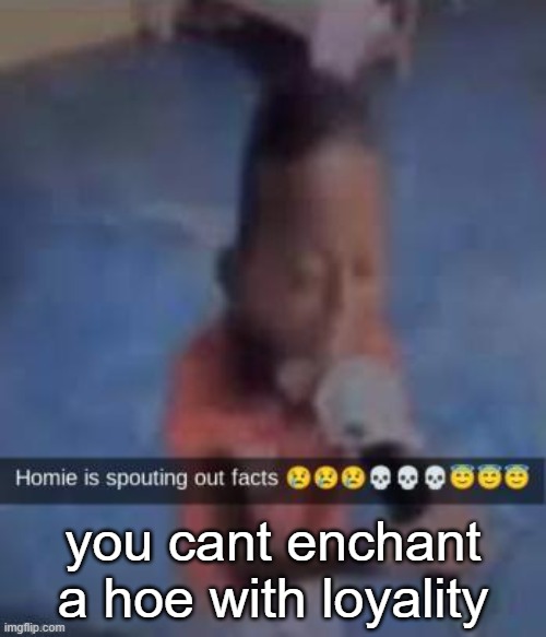 you cant enchant a hoe with loyality | made w/ Imgflip meme maker