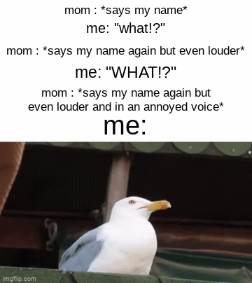 moms cant hear when im screaming but they can hear an insult a mile away | mom : *says my name*; me: "what!?"; mom : *says my name again but even louder*; me: "WHAT!?"; mom : *says my name again but even louder and in an annoyed voice*; me: | image tagged in gifs,meme,funny,yelling | made w/ Imgflip video-to-gif maker
