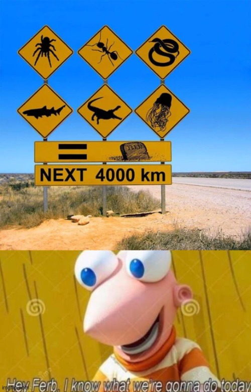Death | image tagged in hey ferb,memes,australia,funny,funny memes | made w/ Imgflip meme maker