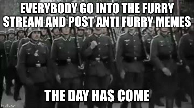 anti furry organization salutes you | EVERYBODY GO INTO THE FURRY STREAM AND POST ANTI FURRY MEMES; THE DAY HAS COME | image tagged in wehrmacht soldiers marching | made w/ Imgflip meme maker