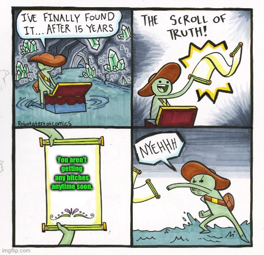 The Scroll Of Truth | You aren’t getting any bitches anytime soon. | image tagged in memes,the scroll of truth | made w/ Imgflip meme maker