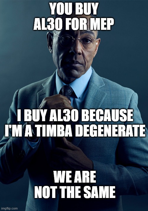 Gus Fring we are not the same | YOU BUY AL30 FOR MEP; I BUY AL30 BECAUSE I'M A TIMBA DEGENERATE; WE ARE NOT THE SAME | image tagged in gus fring we are not the same | made w/ Imgflip meme maker