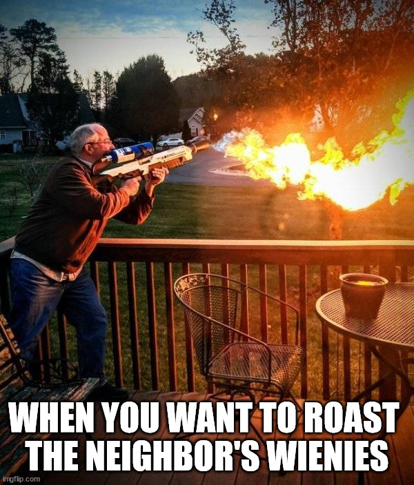 WHEN YOU WANT TO ROAST 
THE NEIGHBOR'S WIENIES | made w/ Imgflip meme maker