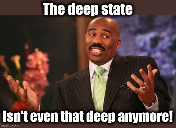 Steve Harvey Meme | The deep state Isn't even that deep anymore! | image tagged in memes,steve harvey | made w/ Imgflip meme maker