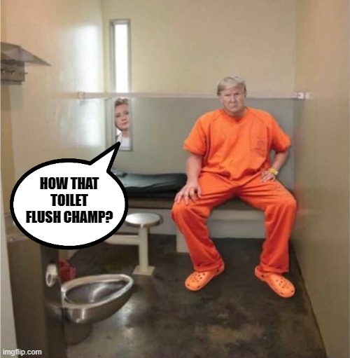 HOW THAT TOILET FLUSH CHAMP? | image tagged in politics,toilet prison trump | made w/ Imgflip meme maker