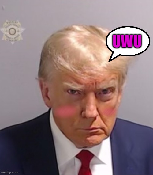 Donald Trump Mugshot | UWU | image tagged in donald trump mugshot | made w/ Imgflip meme maker