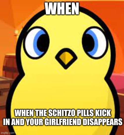 Duck Life | WHEN; WHEN THE SCHITZO PILLS KICK IN AND YOUR GIRLFRIEND DISAPPEARS | image tagged in schizophrenia,duck | made w/ Imgflip meme maker