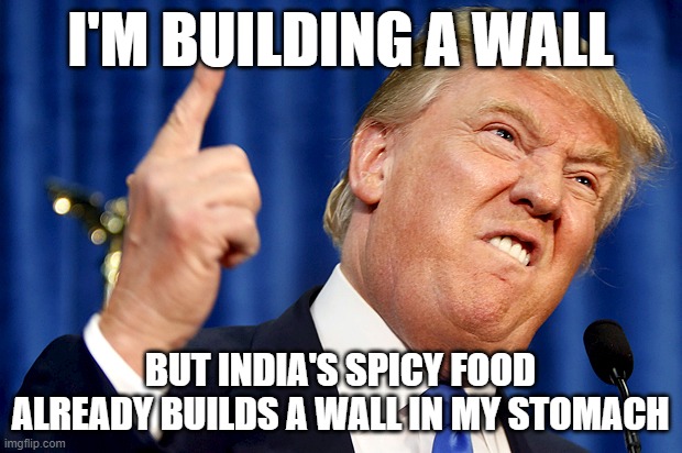 Donald Trump | I'M BUILDING A WALL; BUT INDIA'S SPICY FOOD ALREADY BUILDS A WALL IN MY STOMACH | image tagged in donald trump | made w/ Imgflip meme maker