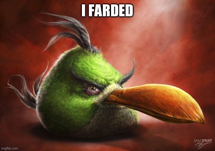 Realistic Angry Bird | I FARDED | image tagged in realistic angry bird | made w/ Imgflip meme maker