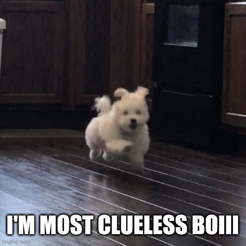 I’m Going as Fast as I Can | I'M MOST CLUELESS BOIII | image tagged in i m going as fast as i can | made w/ Imgflip meme maker