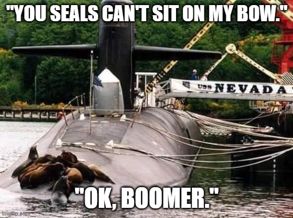 Seals and Ballistic Missile Submarines | "YOU SEALS CAN'T SIT ON MY BOW."; "OK, BOOMER." | image tagged in ssbn | made w/ Imgflip meme maker