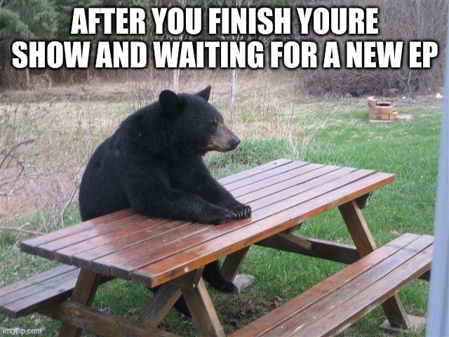 Patient Bear | AFTER YOU FINISH YOURE SHOW AND WAITING FOR A NEW EP | image tagged in patient bear | made w/ Imgflip meme maker