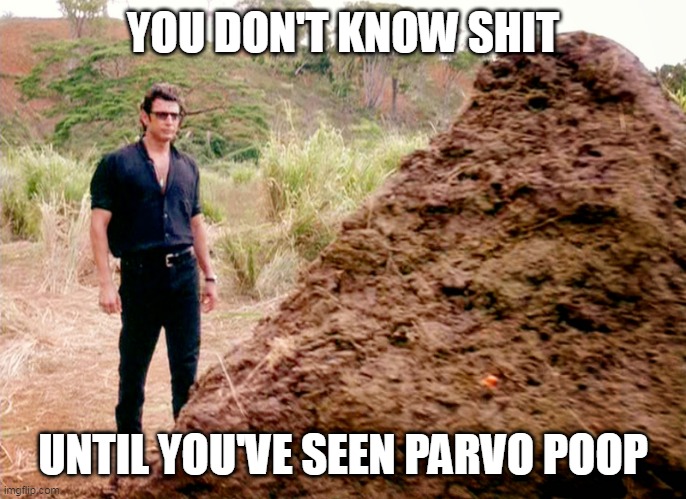 Parvo poop | YOU DON'T KNOW SHIT; UNTIL YOU'VE SEEN PARVO POOP | image tagged in memes poop jurassic park,parvovirus,dog poop,virus | made w/ Imgflip meme maker