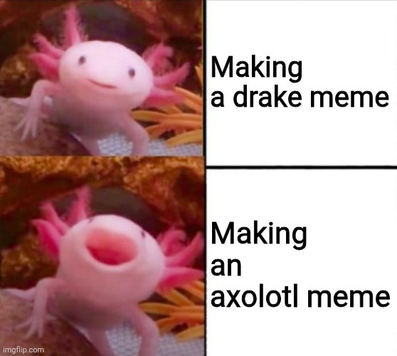 axolotl drake | Making a drake meme; Making an axolotl meme | image tagged in axolotl drake | made w/ Imgflip meme maker