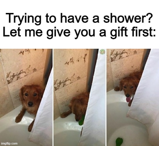 Looks like there's no such thing as privacy in that household- | Trying to have a shower? Let me give you a gift first: | made w/ Imgflip meme maker