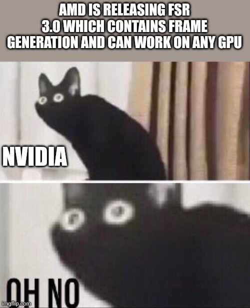 Oh no cat | AMD IS RELEASING FSR 3.0 WHICH CONTAINS FRAME GENERATION AND CAN WORK ON ANY GPU; NVIDIA | image tagged in oh no cat,amd,nvidia,gpu,gaming gpus | made w/ Imgflip meme maker