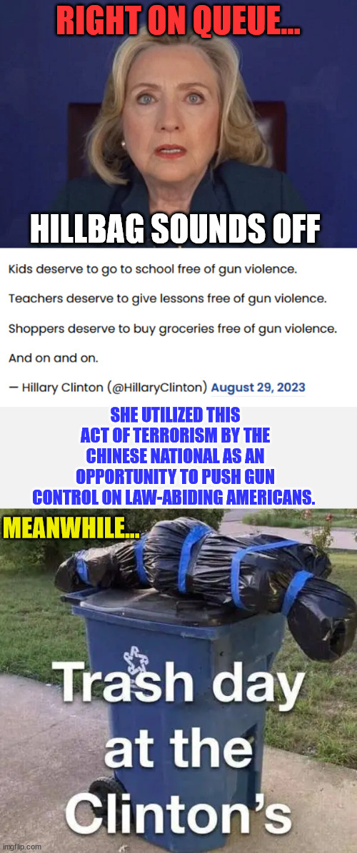 Hillary was completely oblivious to the fact that guns have been banned on school grounds for three decades. | RIGHT ON QUEUE... HILLBAG SOUNDS OFF; SHE UTILIZED THIS ACT OF TERRORISM BY THE CHINESE NATIONAL AS AN OPPORTUNITY TO PUSH GUN CONTROL ON LAW-ABIDING AMERICANS. MEANWHILE... | image tagged in crooked hillary,special kind of stupid | made w/ Imgflip meme maker