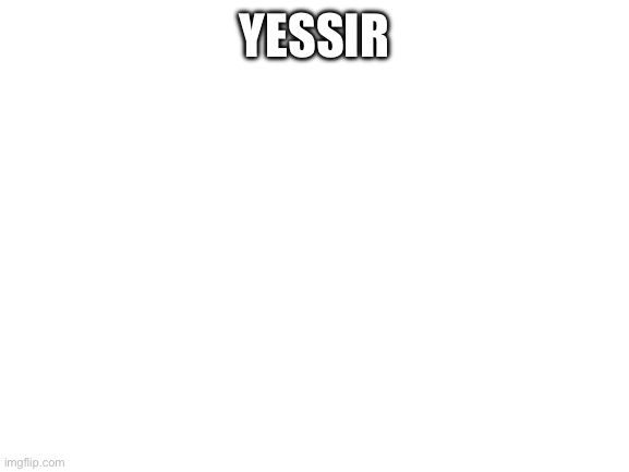 Blank White Template | YESSIR | image tagged in blank white template | made w/ Imgflip meme maker