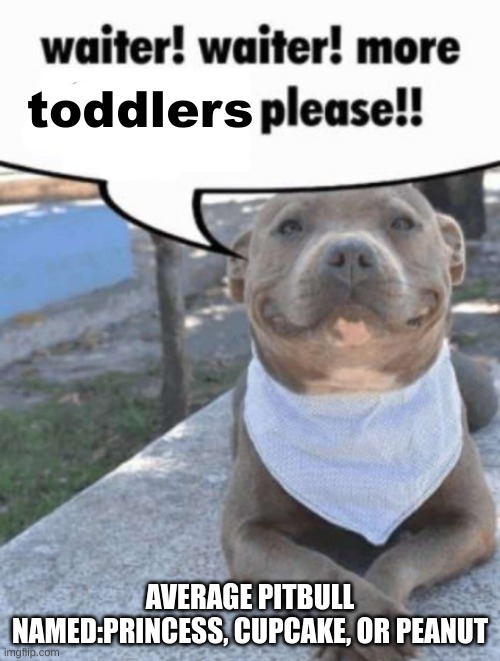 waiter! pit bull | toddlers; AVERAGE PITBULL NAMED:PRINCESS, CUPCAKE, OR PEANUT | image tagged in waiter pit bull | made w/ Imgflip meme maker