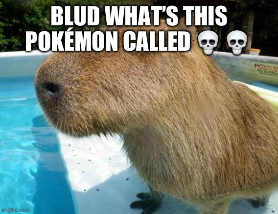 Side Eye Capybara | BLUD WHAT’S THIS POKÉMON CALLED 💀 💀 | image tagged in side eye capybara | made w/ Imgflip meme maker