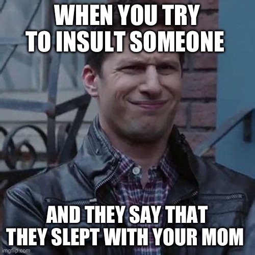 Insult | WHEN YOU TRY TO INSULT SOMEONE; AND THEY SAY THAT THEY SLEPT WITH YOUR MOM | image tagged in jake peralta perplex | made w/ Imgflip meme maker
