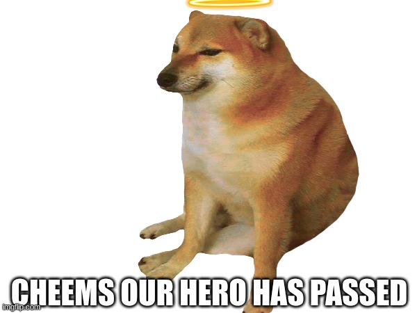 cheems the favorate | CHEEMS OUR HERO HAS PASSED | image tagged in cheems | made w/ Imgflip meme maker