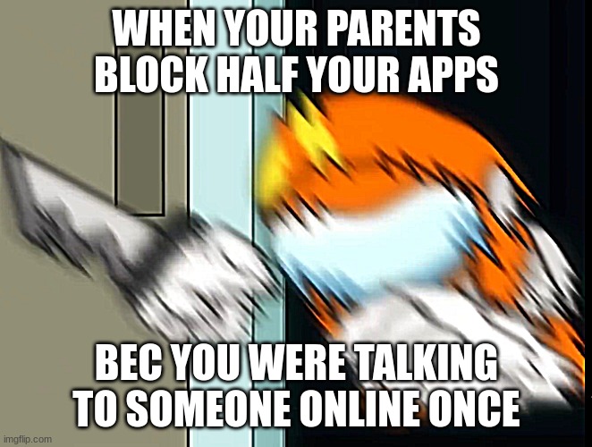 True story | WHEN YOUR PARENTS BLOCK HALF YOUR APPS; BEC YOU WERE TALKING TO SOMEONE ONLINE ONCE | image tagged in broken socksfor1 | made w/ Imgflip meme maker