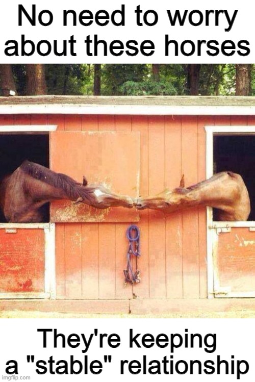 Lol XD | No need to worry about these horses; They're keeping a "stable" relationship | made w/ Imgflip meme maker