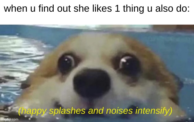 happy splooshes | when u find out she likes 1 thing u also do:; (happy splashes and noises intensify) | image tagged in dog,spoosh | made w/ Imgflip meme maker