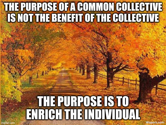 You are first | THE PURPOSE OF A COMMON COLLECTIVE IS NOT THE BENEFIT OF THE COLLECTIVE; THE PURPOSE IS TO ENRICH THE INDIVIDUAL | image tagged in inspiration | made w/ Imgflip meme maker