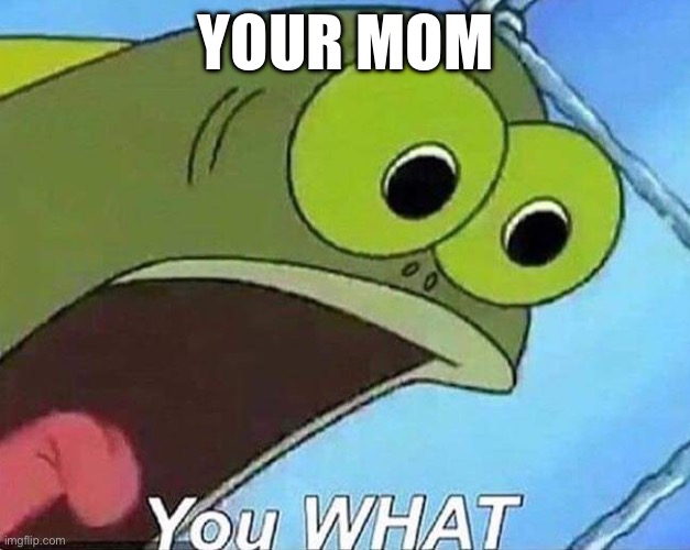 YOU WHAT | YOUR MOM | image tagged in you what | made w/ Imgflip meme maker