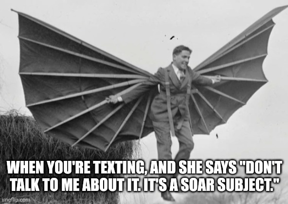No need to fly off the handle, babe | WHEN YOU'RE TEXTING, AND SHE SAYS "DON'T TALK TO ME ABOUT IT. IT'S A SOAR SUBJECT." | image tagged in man with wings | made w/ Imgflip meme maker