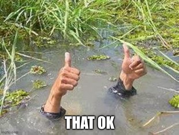 FLOODING THUMBS UP | THAT OK | image tagged in flooding thumbs up | made w/ Imgflip meme maker