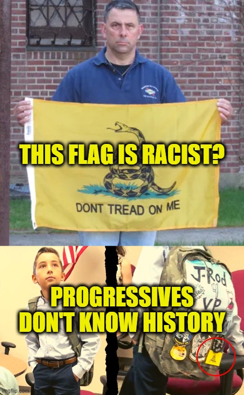 Progressives suck at history | THIS FLAG IS RACIST? PROGRESSIVES
DON'T KNOW HISTORY | image tagged in history | made w/ Imgflip meme maker