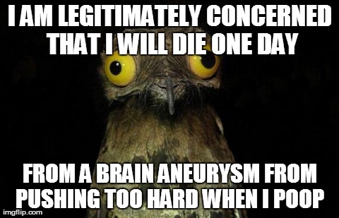 Weird Stuff I Do Potoo Meme | I AM LEGITIMATELY CONCERNED THAT I WILL DIE ONE DAY FROM A BRAIN ANEURYSM FROM PUSHING TOO HARD WHEN I POOP | image tagged in memes,weird stuff i do potoo | made w/ Imgflip meme maker