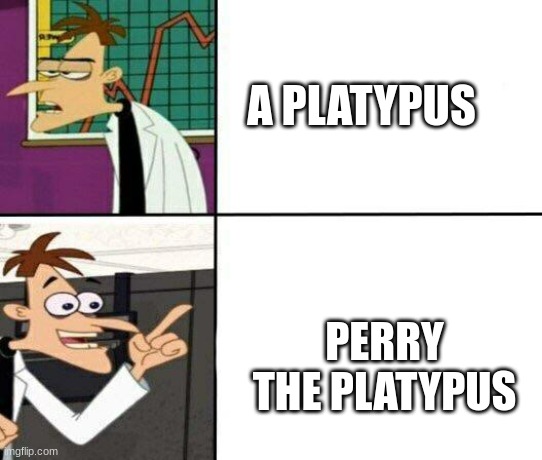 Doofinshmirtz drake format | A PLATYPUS PERRY THE PLATYPUS | image tagged in doofinshmirtz drake format | made w/ Imgflip meme maker