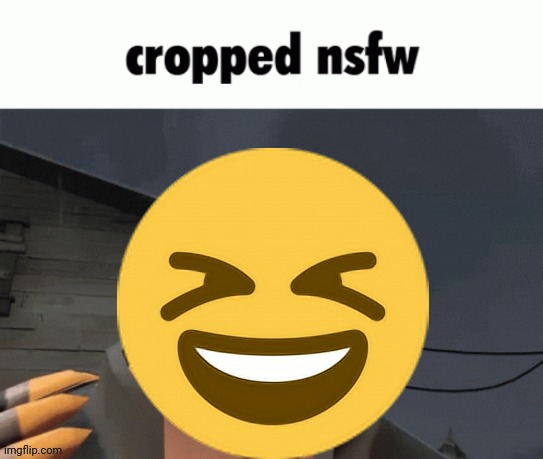 Cropped nsfw | image tagged in cropped nsfw | made w/ Imgflip meme maker