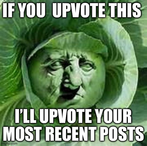 cabbage face | IF YOU  UPVOTE THIS; I’LL UPVOTE YOUR MOST RECENT POSTS | image tagged in cabbage face | made w/ Imgflip meme maker