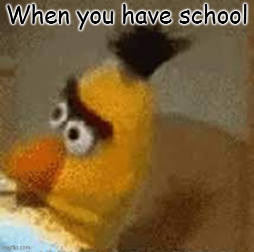 When you have school | made w/ Imgflip meme maker