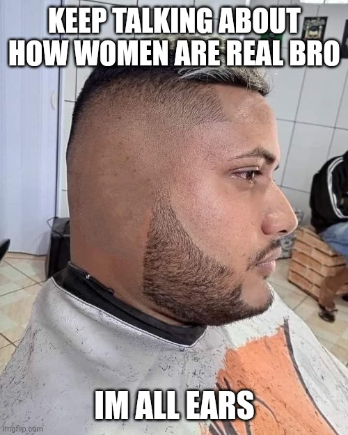 Women are fake and gay | KEEP TALKING ABOUT HOW WOMEN ARE REAL BRO; IM ALL EARS | image tagged in women | made w/ Imgflip meme maker