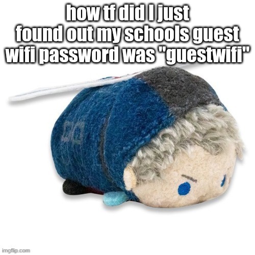 Nero plush 2.0 | how tf did I just found out my schools guest wifi password was "guestwifi" | image tagged in nero plush 2 0 | made w/ Imgflip meme maker