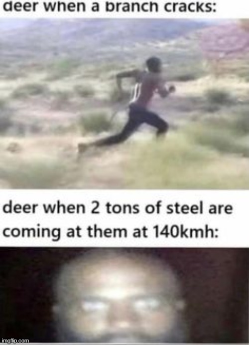 deer | image tagged in tf2 | made w/ Imgflip meme maker